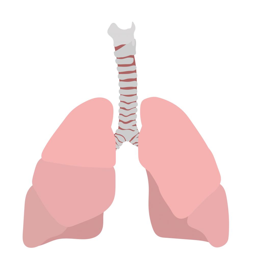 肺がんドック [30KB]