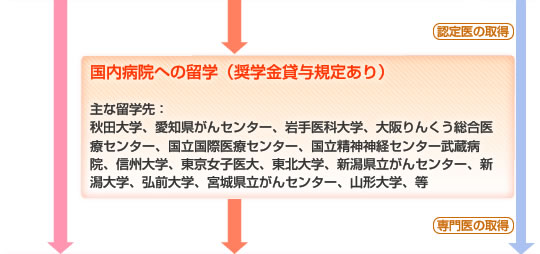 【国内病院への留学（奨学金貸与規定あり）】主な留学先：秋田大学、愛知県がんセンター、岩手医科大学、大阪りんくう総合医療センター、国立国際医療センター、国立精神神経センター武蔵病院、信州大学、東京女子医大、東北大学、新潟県立がんセンター、新潟大学、弘前大学、宮城県立がんセンター、山形大学、等